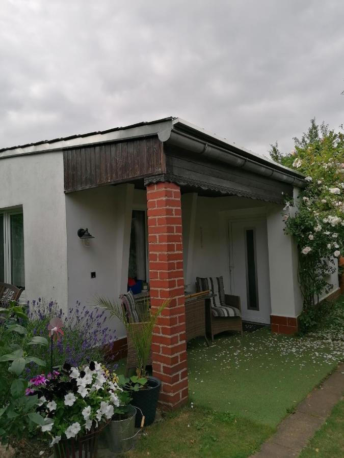 Spatzennest Apartment